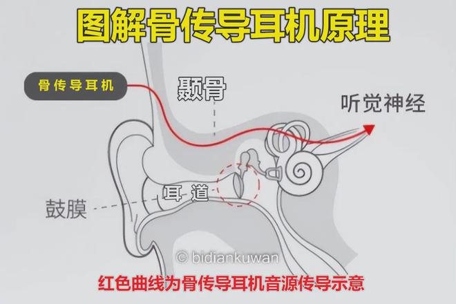 骨传导耳机真的可以保护听力吗？哪些人更适合佩戴骨传导耳机？(图4)