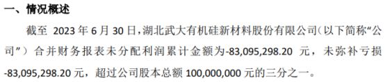 武大科技未弥补亏损超过实收股本总额1亿元的三分之一(图1)