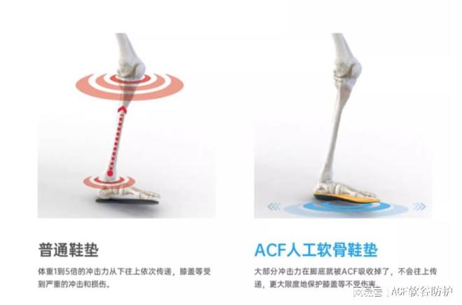 一种具备吸能90%以上冲击力的神奇材料：ACF人工软骨材料(图3)