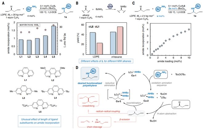 聚乙烯登上Science！(图3)