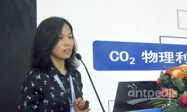 BCEIA 2023：绿色化学研讨会聚焦绿色科技创新 探讨可持续发展之路(图3)