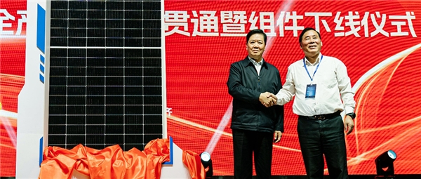 再造一个“合盛硅业”？硅基巨头合盛布局光伏一体化、首片组件下线(图3)