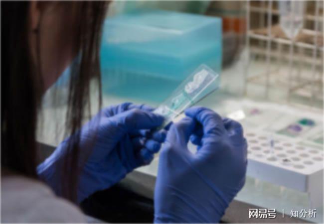 橡胶密封条材料成分分析配方含量检测如何做呢(图1)