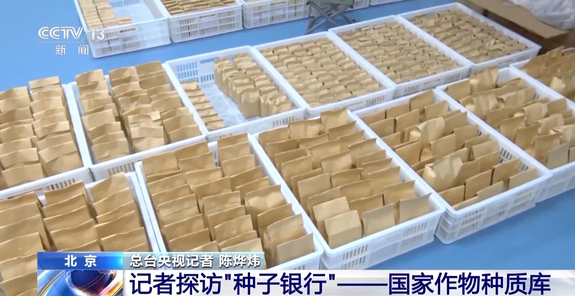 一粒种子如何获得“身份证”？如何成为“国家队”的一员？记者探访“种子银行”(图6)