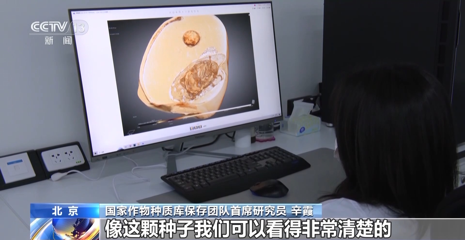 一粒种子如何获得“身份证”？如何成为“国家队”的一员？记者探访“种子银行”(图7)