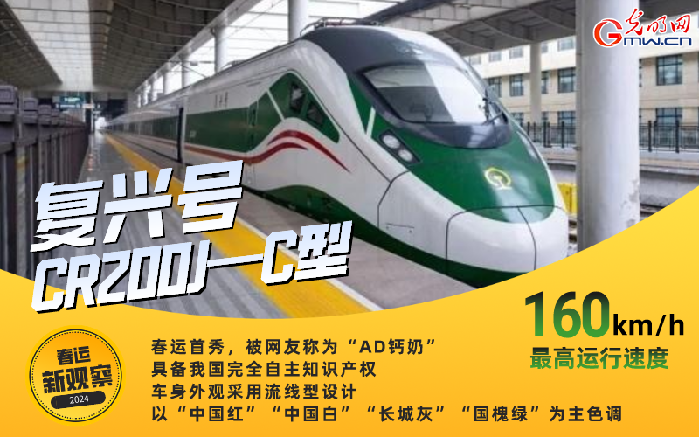 【春运新观察】回家路上的新“伙伴”你遇见了吗？(图1)
