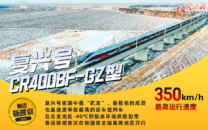 【春运新观察】回家路上的新“伙伴”你遇见了吗？(图5)