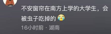 高校禁止挂床帘：把大学变高中只会适得其反(图5)