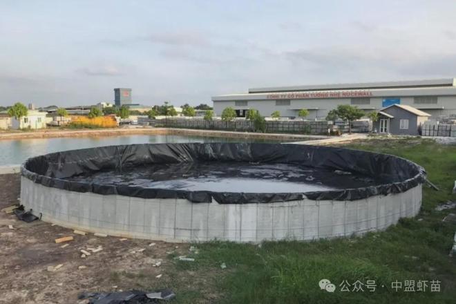 移动虾池为什么会越来越火？养殖高手跟你揭露其中秘密！(图1)
